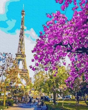 Malowanie po numerach Kwitnący Paryż 40x50 cm PC4050440 IPICASSO