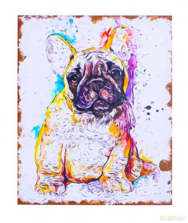 Malowanie po numerach Mops szczeniak 40 x 50 cm 5708