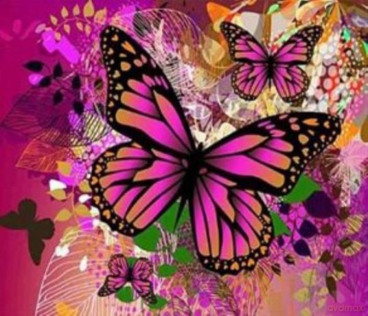 Malowanie po numerach Motyl 40 x 50 5635