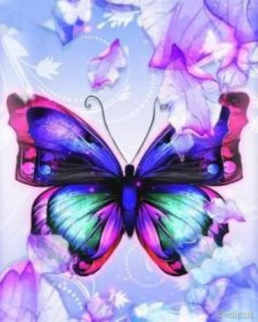 Malowanie po numerach Motyl 40 x 50 5638