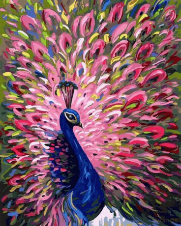 Malowanie po numerach Paw 40x50 cm PC4050855 IPICASSO