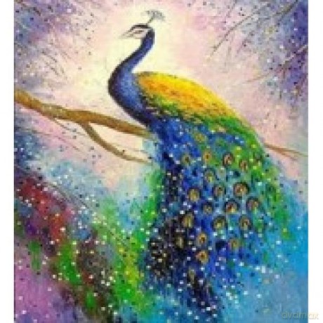 Malowanie po numerach Paw na gałęzi 40 x 50 cm 5712