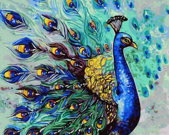 Malowanie po numerach Przystojny paw 40x50 cm PC4050489 IPICASSO
