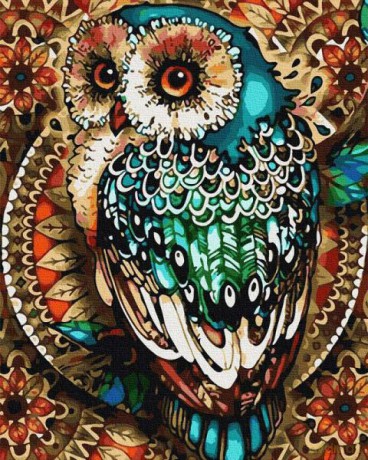 Malowanie po numerach Sowa ornament 40x50 cm PC4050787 IPICASSO
