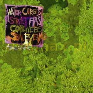 Animal Collective: Water Curses [CD]