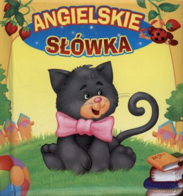 Angielskie Słówka (twarda) [KSIĄŻKA]