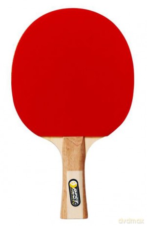 Paletka do tenisa stołowego poziom Hobby BEST Sporting 20120