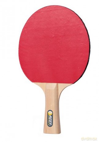 Paletka do tenisa stołowego poziom początkujący Learner BEST Sporting 20119