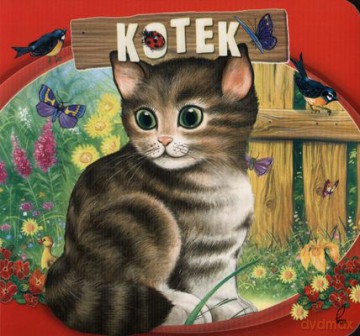 Kotek (twarda) [KSIĄŻKA]