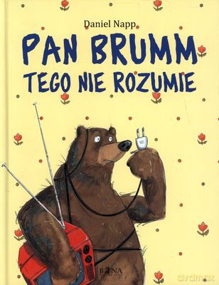 Pan Brumm Tego Nie Rozumie (twarda) - Daniel Napp [KSIĄŻKA]