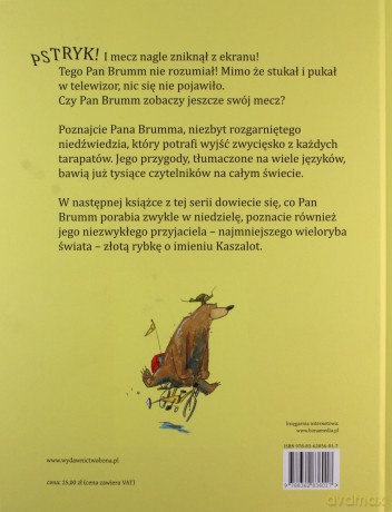 Pan Brumm Tego Nie Rozumie (twarda) - Daniel Napp [KSIĄŻKA]