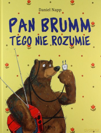 Pan Brumm Tego Nie Rozumie (twarda) - Daniel Napp [KSIĄŻKA]