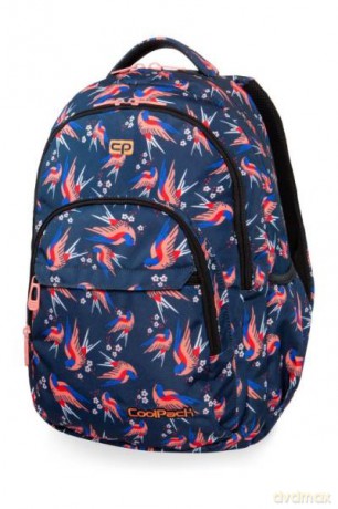 Plecak młodzieżowy Basic plus Colibri B03012