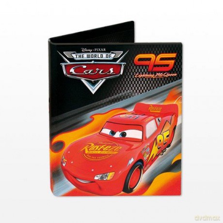 Segregator B5 CARS