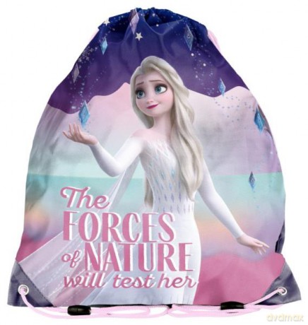 Worek na buty Frozen DF21GW-712