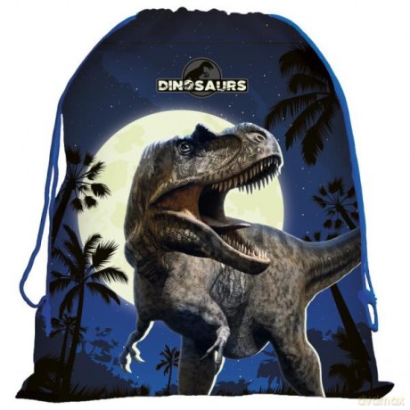 Worek na obuwie Dinozaur 13
