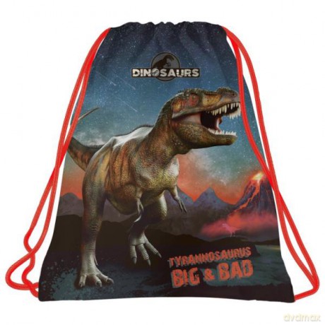 Worek na obuwie Dinozaur 17