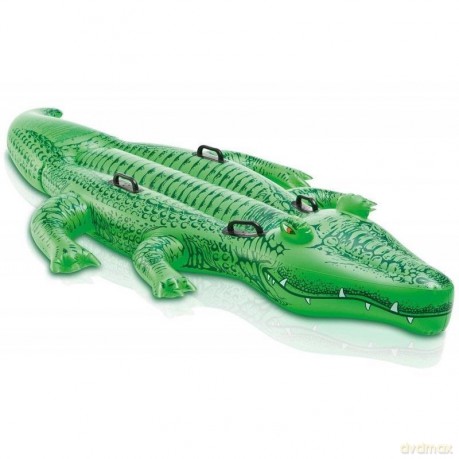 Zabawka do pływania Aligator w pudełku 203x114 cm 58562
