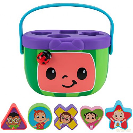 Roleplay Shape Sorter