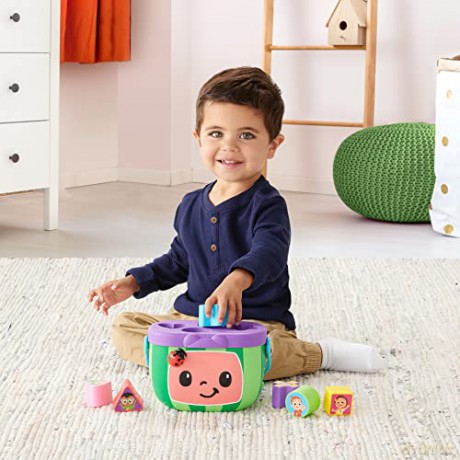 Roleplay Shape Sorter