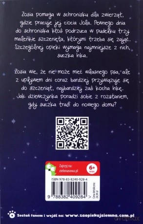 Zaopiekuj się mną. Inka, porzucone szczenię - Holly Webb [KSIĄŻKA]
