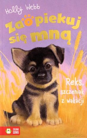 Zaopiekuj się mną. Reks, szczeniak z wakacji - Holly Webb [KSIĄŻKA]