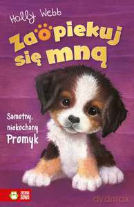 Zaopiekuj się mną. Samotny, niekochany Promyk - Holly Webb [KSIĄŻKA]