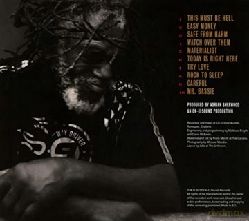 Horace Andy: Midnight Rocker [CD]