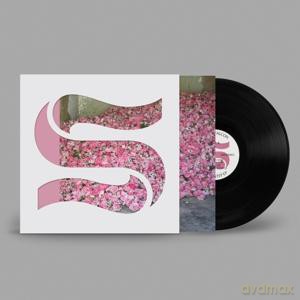 Braxe + Falcon: Step By Step EP [Winyl]