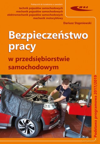 Bezpieczeństwo pracy w przedsiębiorstwie samochodowym - Dariusz Stępniewski [KSIĄŻKA]