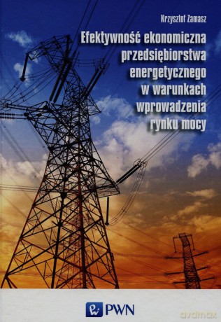 Efektywność ekonomiczna przedsiębiorstwa energetycznego w warunkach wprowadzenia rynku mocy - Krzysztof Zamasz [KSIĄŻKA]