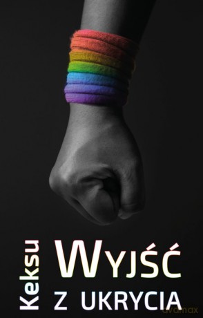 Wyjść z ukrycia - Keksu [KSIĄŻKA]