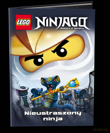 Lego ninjago. Nieustraszony Ninja [KSIĄŻKA]