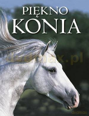 Piękno konia - Nicola Jane Swinney [KSIĄŻKA]