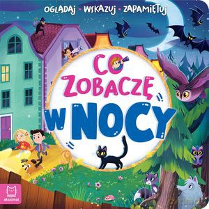 Co zobaczę w nocy. Oglądaj, wskazuj, zapamiętuj - Sylwia Kajdana [KSIĄŻKA]