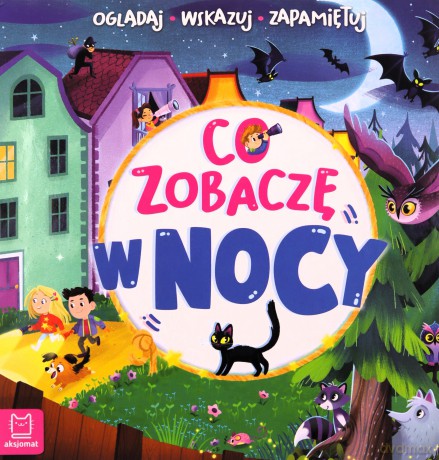 Co zobaczę w nocy. Oglądaj, wskazuj, zapamiętuj - Sylwia Kajdana [KSIĄŻKA]