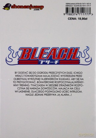 Bleach (Tom 10) [KSIĄŻKA]