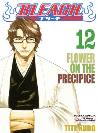 Bleach (Tom 12) - Tite Kubo [KOMIKS]