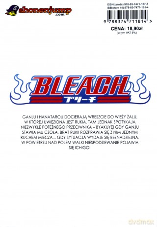 Bleach (Tom 14) - Tite Kubo [KOMIKS]