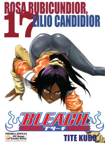Bleach (Tom 17) [KSIĄŻKA]