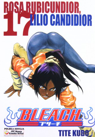Bleach (Tom 17) [KSIĄŻKA]