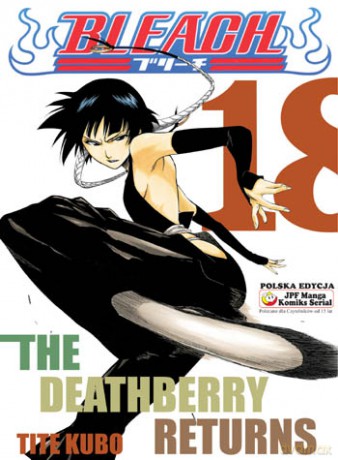 Bleach (Tom 18) [KSIĄŻKA]