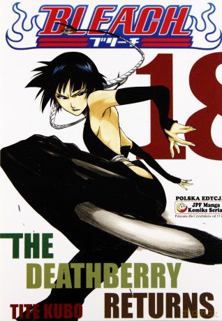 Bleach (Tom 18) [KSIĄŻKA]