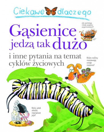 Ciekawe dlaczego gąsienice jedzą tak dużo - Belinda Weber [KSIĄŻKA]