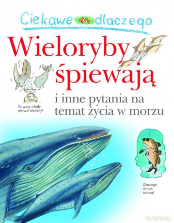 Ciekawe dlaczego wieloryby śpiewają - Caroline Harris [KSIĄŻKA]