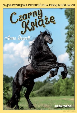 Czarny Książę - Anna Sewell [KSIĄŻKA]