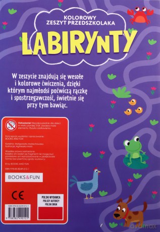 Labirynty. Kolorowy zeszyt przedszkolaka [KSIĄŻKA]