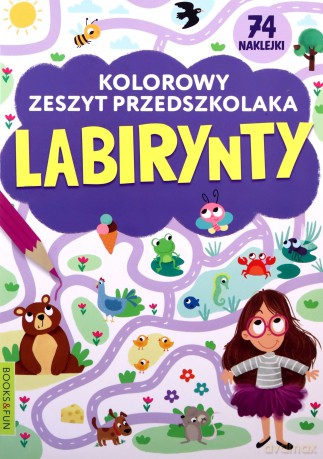 Labirynty. Kolorowy zeszyt przedszkolaka [KSIĄŻKA]