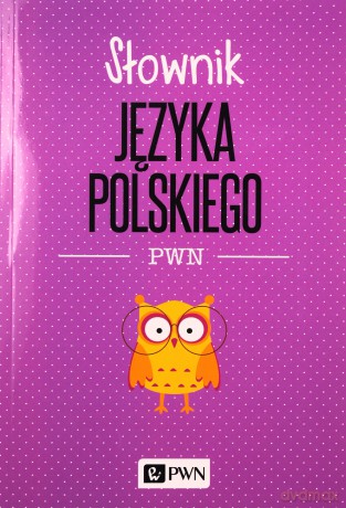 Słownik języka polskiego - Lidia Drabik [KSIĄŻKA]