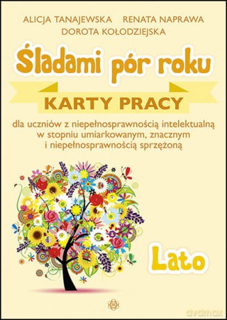 Śladami pór roku lato - Alicja Tanajewska, Renata Naprawa, Dorota Kołodziejska [KSIĄŻKA]